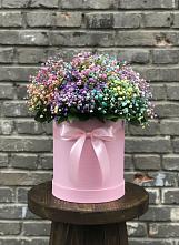 Цветочная композиция из Гипсофила и Розы в шляпной коробке в Чупе