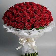 Букет 101 Красная роза Блэк Мэджик в Чупе