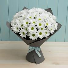 Букет цветов из:  Хризантемы в Чупе