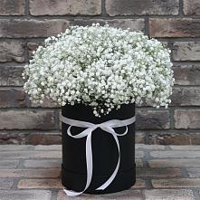 Цветочная композиция из Гипсофила в шляпной коробке #REPLACE_PRED# Чупе