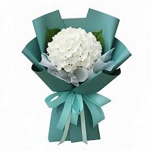 Букет цветов из:  Гортензия в Чупе